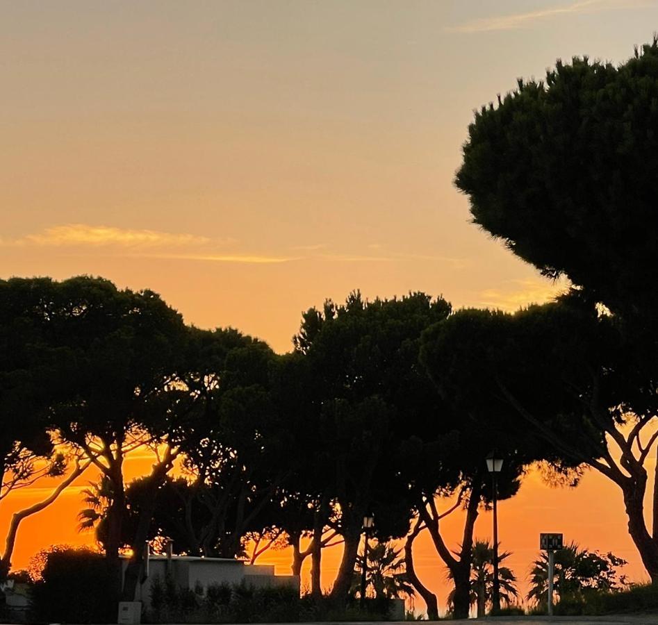 Scarlet'S Place - 1 Bed Victory Village Quinta Do Lago - Beach, Nature, Lakes Exterior foto